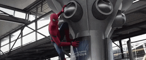 d4441 giphyupload GIF