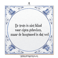 Humor Reflectie Sticker by Tegelspreuken.nl
