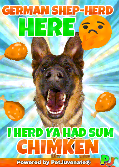 PetJuvenate petjuvenate henlo hooman fren love rescue dogs treatos and woofer for pupper GIF