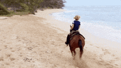 Magnum Pi Hawaii GIF by CBS