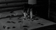 girl spider GIF