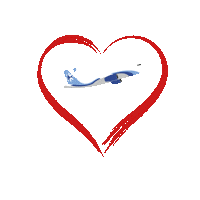 go valentines day Sticker by InterjetAirlines