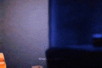 Gif Edit Im Out GIF