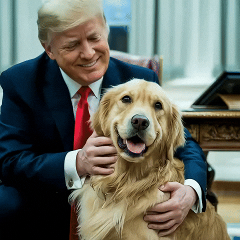 LibertyDog giphyupload trump bonk liberty GIF