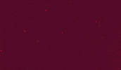 Kaya Acsparta GIF by AC Sparta Praha