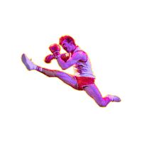 Kick Sticker by Selladoor