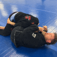 Ufc Grappling GIF