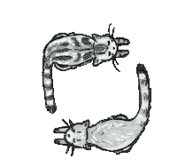 Cat Sticker