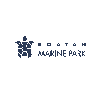 ROATANMP summer ocean help sea Sticker
