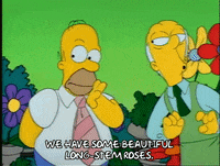 Season 1 Episode 13 GIF by The Simpsons