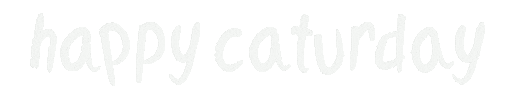 Happy Cat Sticker