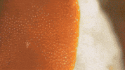 GIF by KQEDScience