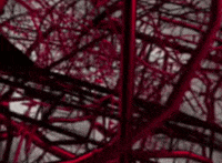 shed nuclear blast GIF by Meshuggah