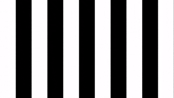 Football Sport GIF by SK Sturm Graz