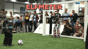 GIF by Mitteldeutscher Rundfunk