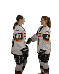 Happy Ice Hockey Sticker by deb_teams