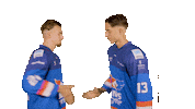 Ice Hockey Sport Sticker by UNIS Flyers