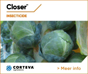 Vollegrondsgroentenet giphyupload kool insecticide luizen GIF