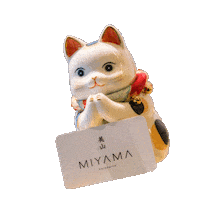 Cat Neko Sticker by Miyama Melbourne