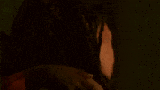 GIF by Domani