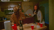 GIF by Domani