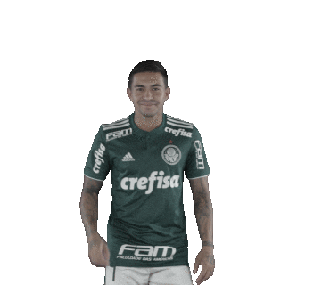 soccer goal Sticker by SE Palmeiras