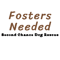 Scdr Sticker by Second Chance Dog Rescue