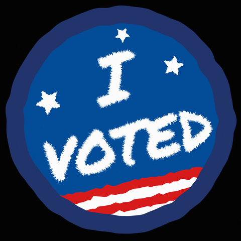 electdemocrats giphyupload sticker vote flag GIF