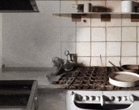 GIF by Alex Boya
