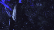 music video hello GIF by IHC 1NFINITY