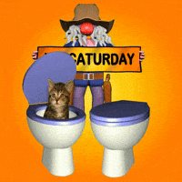 The Weekend Saturday GIF