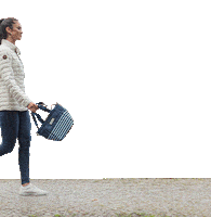 Walking Stripes Sticker by anndora