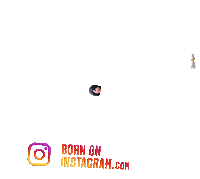 Foodmandiboi Sticker by BORN ON INSTAGRAM