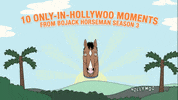 bojack horseman GIF by NETFLIX