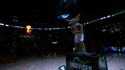 Regular Season Sport GIF by NBA
