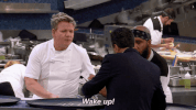 gordon ramsay GIF by Fox TV