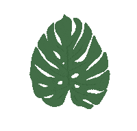 Palm Leaf Plant Sticker by four things paper