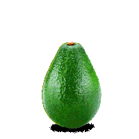 Fun Wave Hi Sticker by Sylvia Boomer Yang