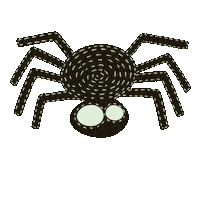 Spider Sticker
