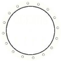 summer love Sticker by parley