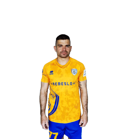 Football Logo Sticker by Fortuna Liga