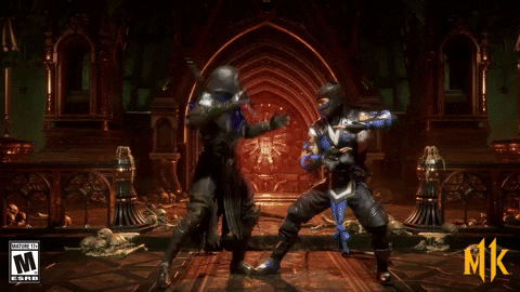 noob saibot mk GIF by Mortal Kombat 11