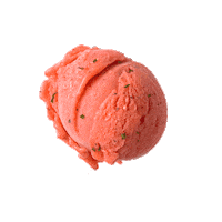 Ice Cream Kugel Sticker by Luicella's Ice Cream