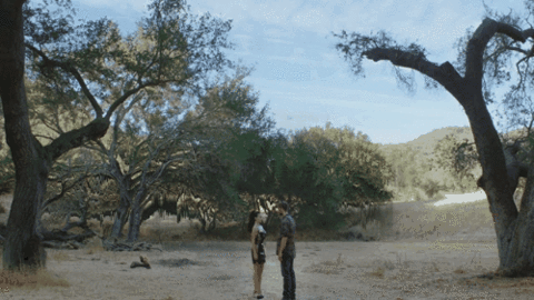 calvin harris dance GIF by Columbia Records