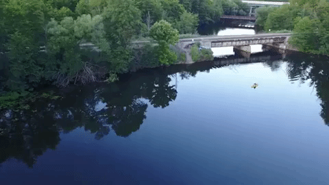 michigan GIF