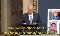 news senate hearing GIF