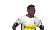 borussia moenchengladbach what Sticker by Bundesliga