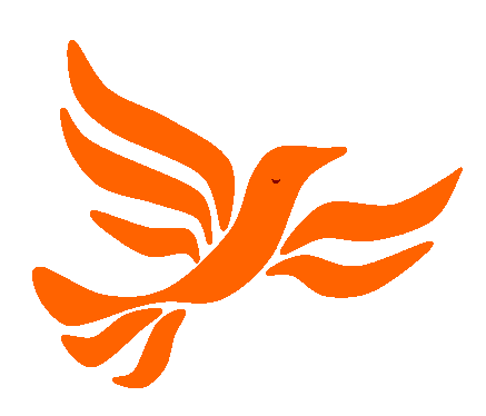 LibDemLady giphyupload libdemlady lib dem lady ff6400 Sticker