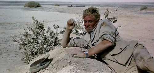 get comfortable lawrence of arabia GIF by Maudit