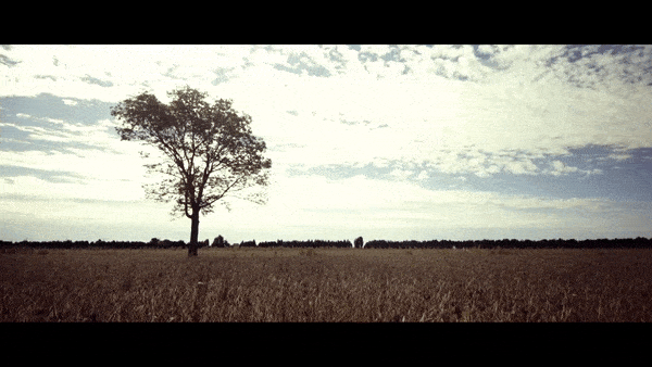 music video syml GIF
